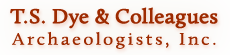 TSDye logo